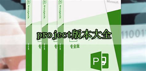 project软件下载-microsoft project版本大全-当快软件园
