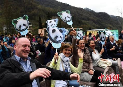 国际熊猫日 | 世界最长寿大熊猫在重庆，她有153个子子孙孙 - 中国自然保护区生物标本资源共享平台