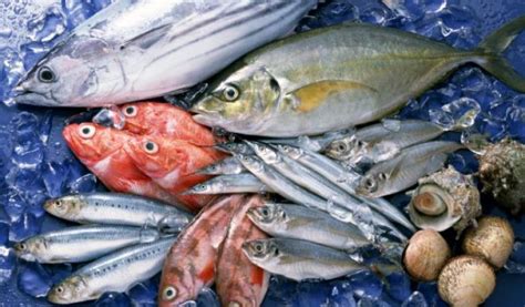 海鲜的品种有哪些 海鲜品种大全-查查吧的轻略博客