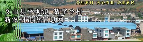 平坝县第一中学2023年网站网址