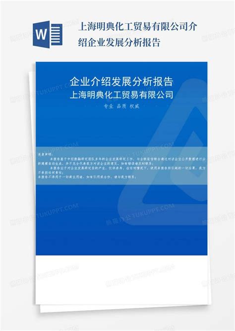 上海明典化工贸易有限公司介绍企业发展分析报告Word模板下载_编号qdmrewvk_熊猫办公