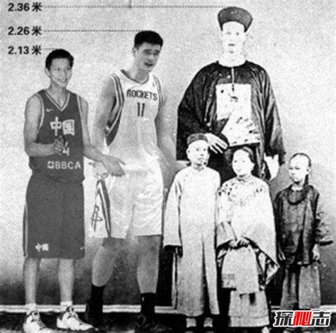中国最高的人排名【中国最高的人是谁身高多少】-小人物K