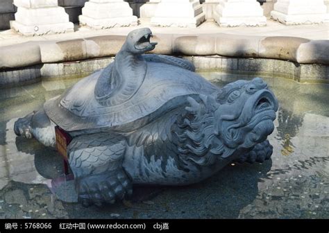 玄武是龟和蛇合体，在中国文化中有什么寓意？