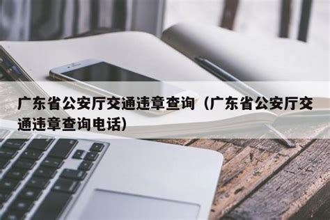 广东交通违章查询网站入口|违章资讯 - 驾照网