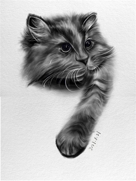 猫的素描头像图片