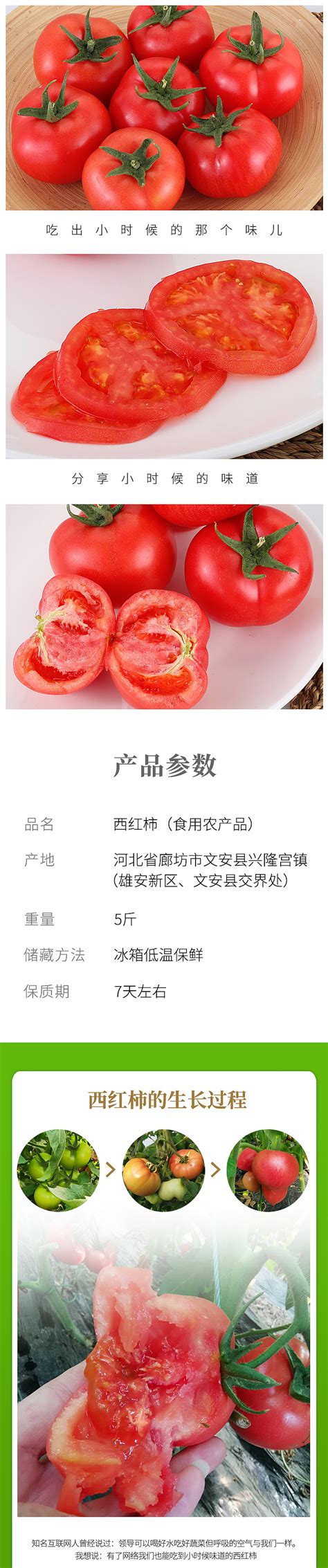 绿色西红柿 生吃番茄新鲜蔬菜沙瓤西红柿毛粉柿子自然成熟 广东广州-食品商务网