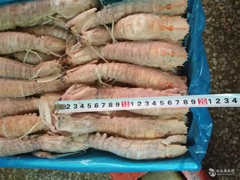 万景北海鲜冻白虾国产白虾 净重4斤 100-120只 大虾对虾 海鲜-商品详情-光明菜管家