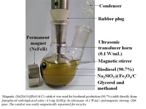 Biodiesel production directly from oils with high acid value by ...