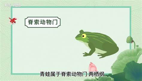 青蛙养殖技术与管理：青蛙养殖要注意些什么？__财经头条