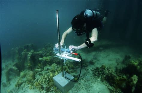 水下机器人在海洋资源的研究和开发的重要作用__凤凰网