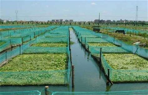 如何判断养殖水质的好坏-农百科