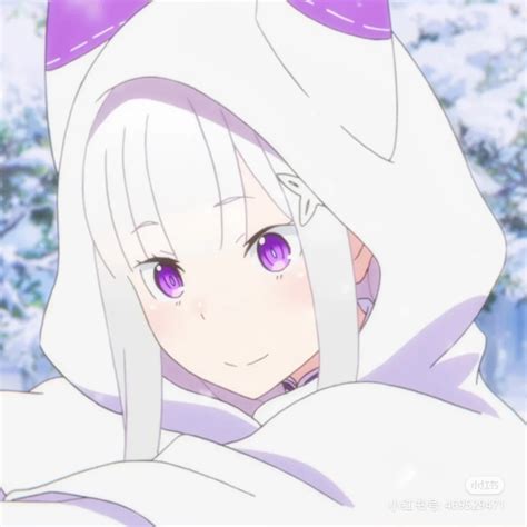 最美银发少女——艾米莉娅(爱蜜莉雅)图片