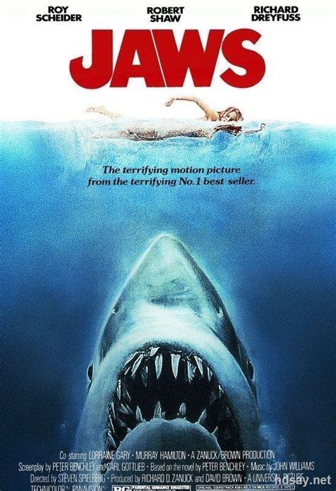 大白鲨(1975年美国斯蒂文斯皮尔伯格执导电影)_360百科