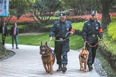 热爱、付出、传承……这名优秀警犬训导员的三个关键词_云南看点_社会频道_云南网