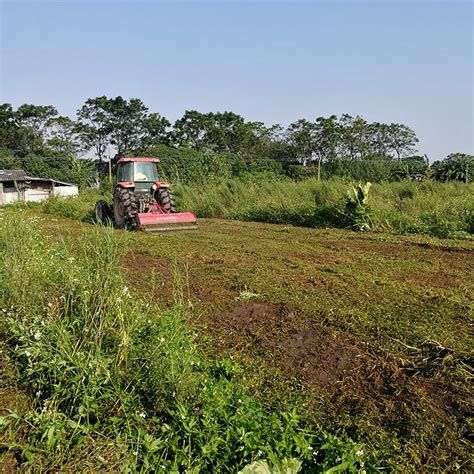 广州市白云区种植科研基地正式开始农业耕作_海露集团