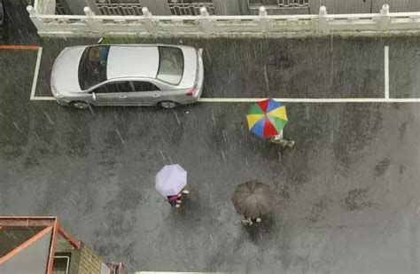 三河口幼：雨中传递，伞下真情-幼教 - 常州市天宁区教师发展中心