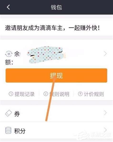 滴滴车主如何进行提现？滴滴车主提现方法-知知猫|zhizhicat.com