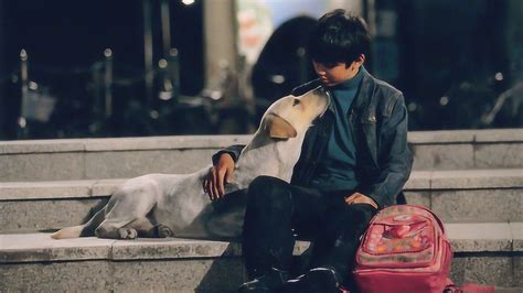 豆瓣评分8.3，一部关于狗狗的感人电影，忠诚的狗狗用生命保护主人_腾讯视频