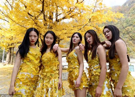 女大学生用银杏叶做“土豪金”时装-搜狐大视野-搜狐新闻