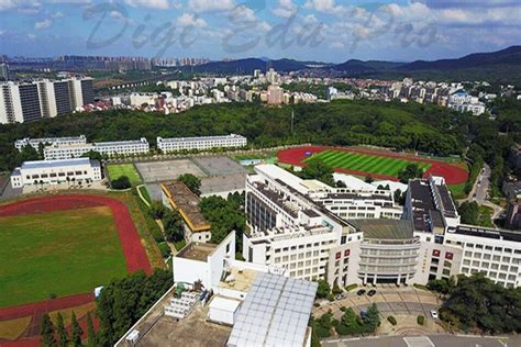 卡奈尔 M.Canale 的图像结果