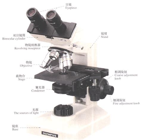 体视显微镜构成及使用方法-东莞沃德普