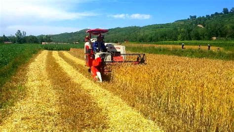安阳：小麦全程机械化基本实现 耕种收水平98%以上-小麦全程机械化-机械工业行业-hc360慧聪网