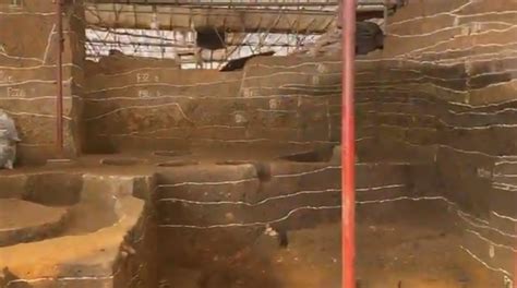16座！河南黄山遗址发现6000多年前粮仓群_腾讯视频