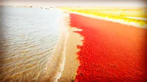 盘锦红海滩，我们在这里寻找到了最美的风景