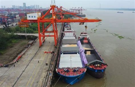 宁波舟山港年海铁联运业务量首次突破120万标准箱
