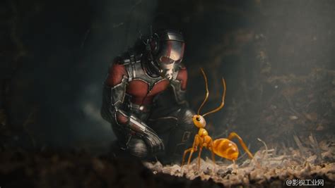 《蚁人3：量子狂潮》角色海报发布 蚁人女儿貌美如花_3DM单机