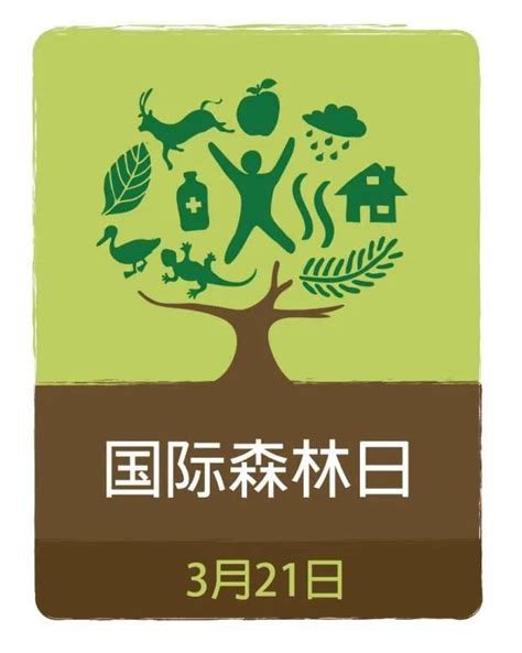 江洛林场开展以“森林与可持续生产和消费”为主题的国际森林日宣传活动 - 江洛林场 - 甘肃省小陇山林业保护中心官方网站