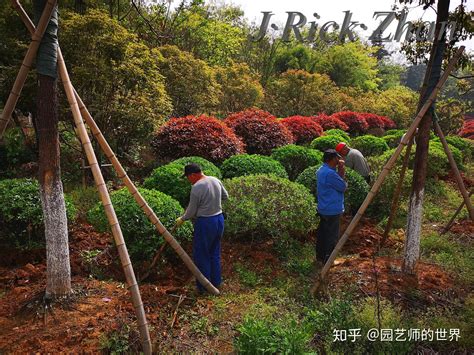 重点企业 北京市花木有限公司陕西分公司 | 西安林木种苗网