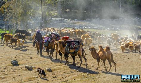 太震撼了-新疆哈萨克牧民转场最佳时间与北疆牛羊大迁徙摄影团与采风活动开启_黄赞摄影_新浪博客