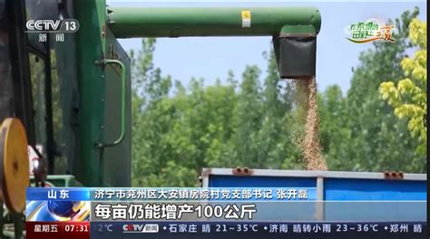 济宁市人民政府 综合要闻 [朝闻天下]在希望的田野上·三夏 全国麦收进度已过六成