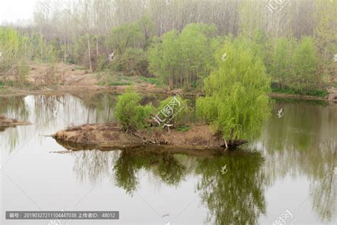 西安梁家滩湿地公园,沼泽湿地,自然风景,摄影,汇图网www.huitu.com