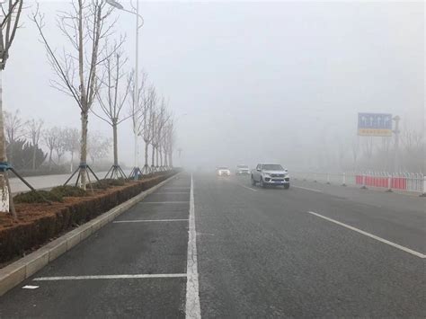 山东大雾黄色预警持续中 多地出现浓雾 - 山东首页 -中国天气网