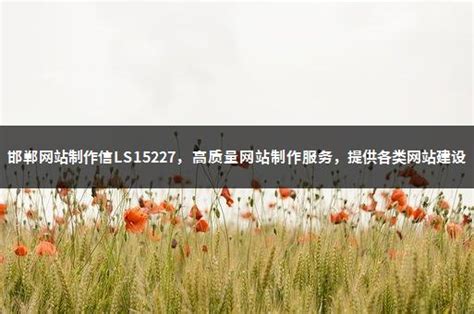 邯郸网站制作,邯郸做网站,专业的邯郸网站建设服务商