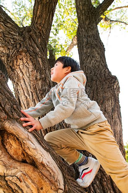 站在树上的快乐男孩高清图片下载-正版图片507681319-摄图网