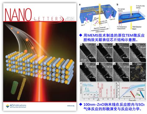 上海微系统所揭示氧化锌纳米线的纳米尺度效应 - 纳米颗粒 科技前沿 - 颗粒在线