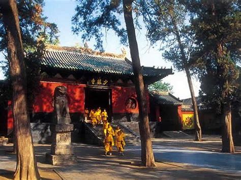河南郑州登封少林寺内的银杏，秋天到来之时更增加了几分古韵，摄影师@焦潇翔