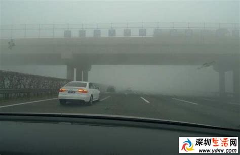 大雾天气高速行驶速度多少-有驾