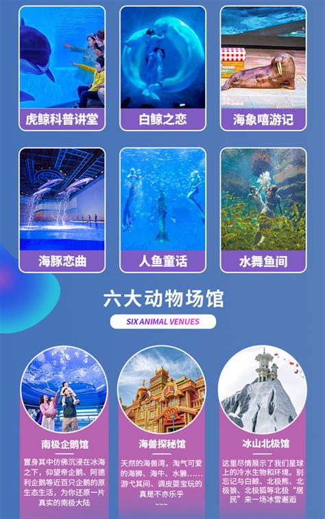 2020上海海昌海洋公园行李寄存价格-门票价格及游玩项目介绍_旅泊网
