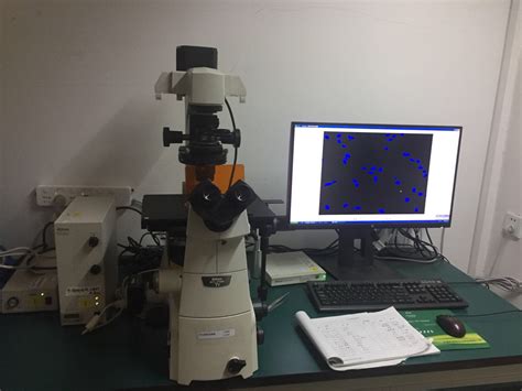 倒置荧光显微镜-山东大学大型仪器公共技术平台