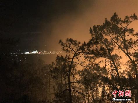 凉山木里森林火灾确认为雷击火，着火点为一棵云南松-大河报网