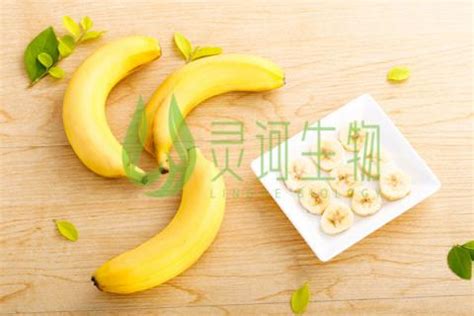 香蕉的功效与作用 经常吃香蕉对身体的好处-孕前饮食禁忌-妈妈宝宝网
