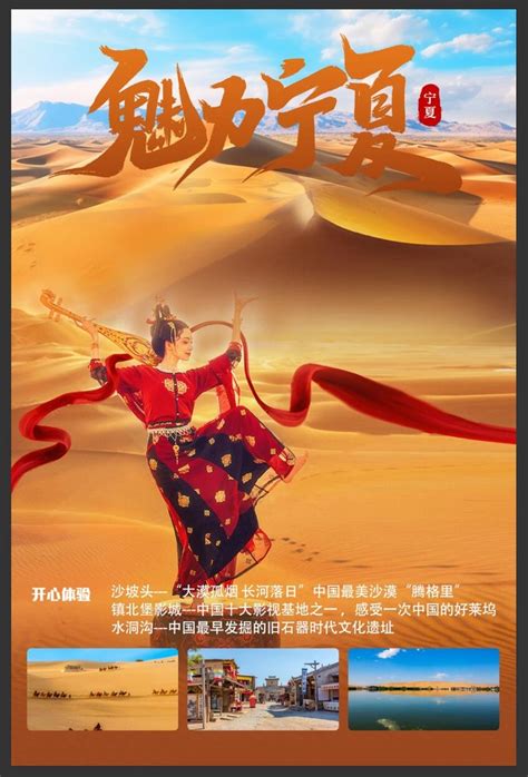 宁夏枸杞美食海报模板素材-正版图片401147204-摄图网