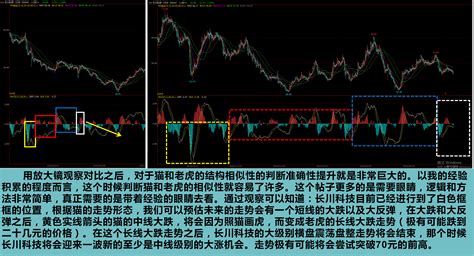 长川科技新视野下的新结论（横盘震荡走势运行逻辑下照猫画虎方法的细思细辨）_财富号_东方财富网