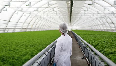 美国研发智慧农场，未来蔬菜将由机器人种植_智慧农业-农博士农先锋网