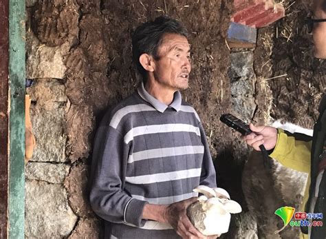 【网络媒体西藏行】推广食用菌种植 日喀则谢通门县产业发展带动扶贫事业 - 新闻频道