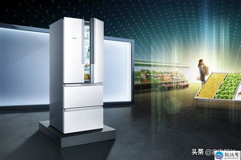 中国十大品牌冰箱排名（什么冰箱的牌子最好）_秋鸿号